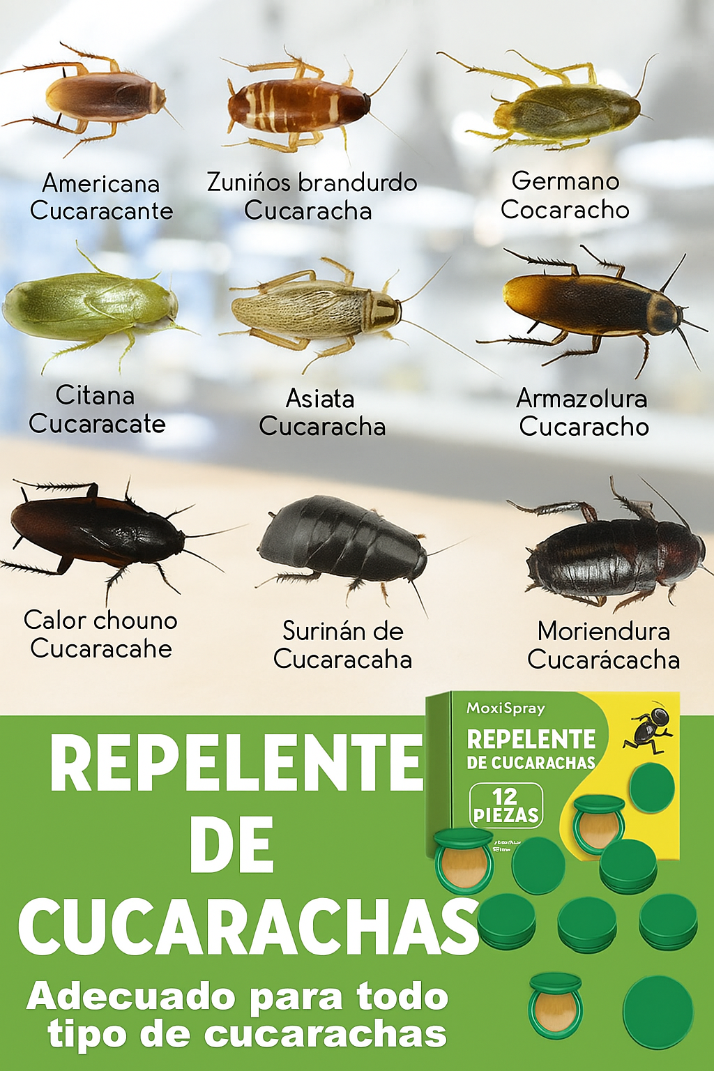 Consigue un Hogar Libre de Cucarachas en Menos de 3 Días