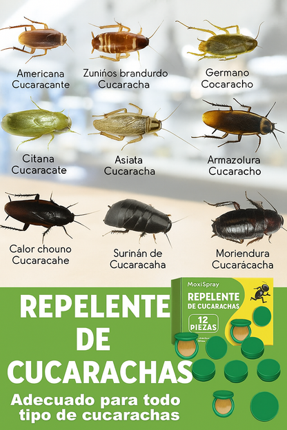 Consigue un Hogar Libre de Cucarachas en Menos de 3 Días